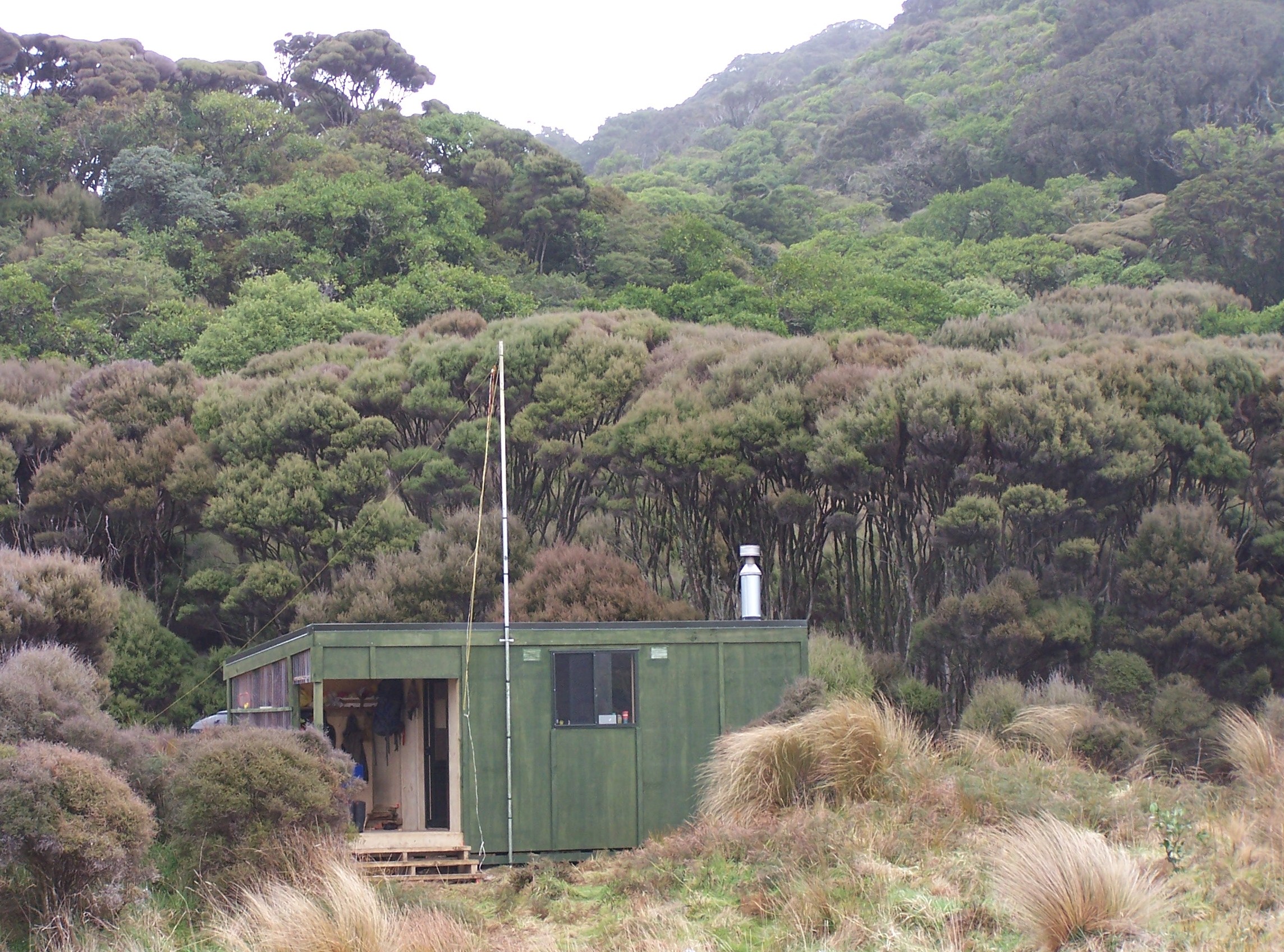 Stewart Island
